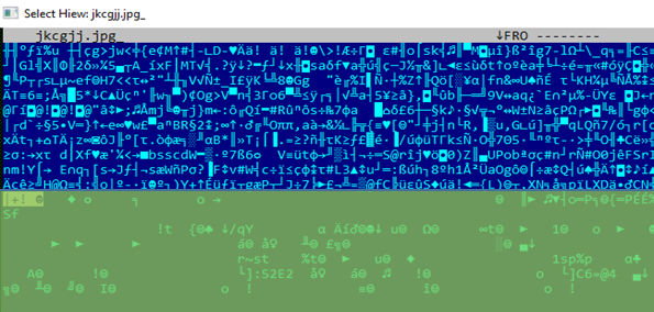 Figure 5. The encrypted binary inside the image file